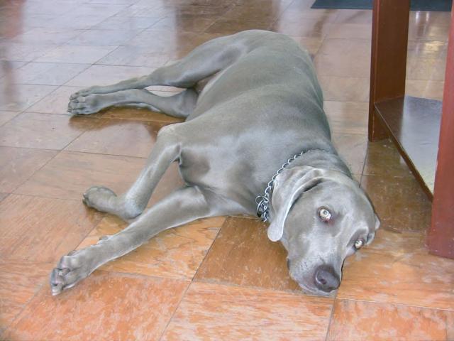 JENNA LAYING ON FLOOR .